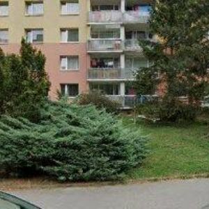 obrazek: avatar STAŇKOVÁ SVATAVA