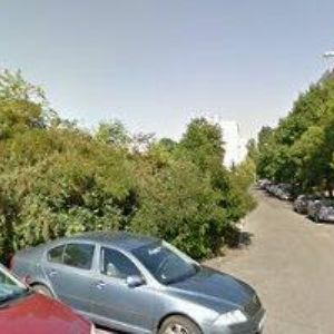 obrazek: avatar ČERMÁKOVÁ RENÁTA