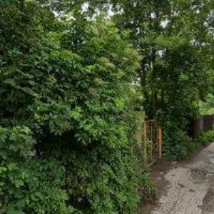 obrazek: avatar TJ ORION Praha z.s.