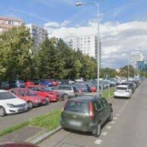 obrazek: avatar ČÁPOVÁ JANA