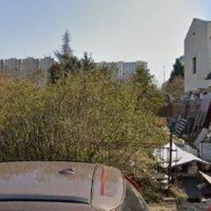 obrazek: avatar LAŠTOVKOVÁ MILADA