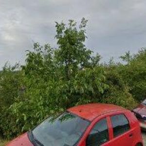 obrazek: avatar REALITY TURECKO