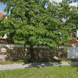 obrazek: avatar ZLATÁ PRAHA, spol. s r.o.