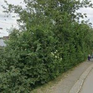 obrazek: avatar LE CYGNE SPORTIF GROUPE a.s.