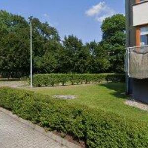 obrazek: avatar AVEMI s.r.o.