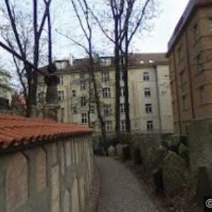 obrazek: avatar FREJLACH REALITY