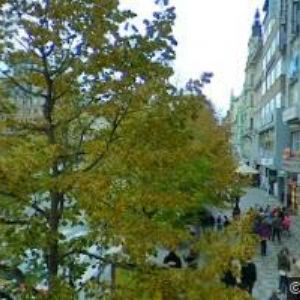 obrazek: avatar ROYAL PERFUMERY PRAGUE s.r.o.