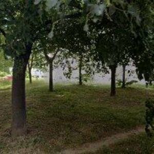 obrazek: avatar REAL AGENCY 360