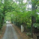 S-TRADING spol. s r.o.