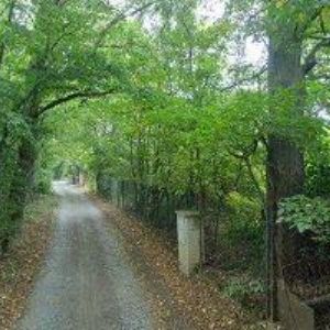 obrazek: avatar S-TRADING spol. s r.o.