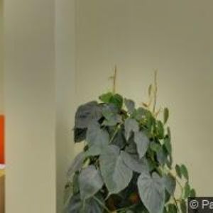 obrazek: avatar OPUS IMMOBILIEN PRAHA s.r.o.