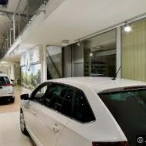 obrazek: avatar RE/MAX IVY