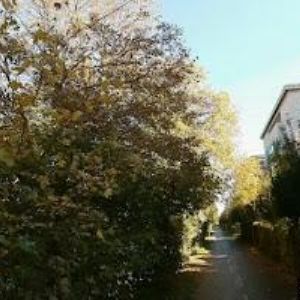 obrazek: avatar AZBYT.CZ