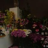 SVĚT BYDLENÍ, s.r.o.