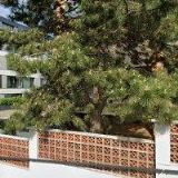 BŘEVNOVSKÉ TRUHLÁŘSTVÍ, s.r.o.