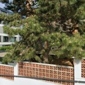 obrazek: avatar BŘEVNOVSKÉ TRUHLÁŘSTVÍ, s.r.o.