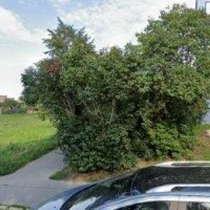 obrazek: avatar ČIŠTĚNÍ KOBERCŮ PRAHA