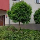 NOSRETI REALITY a.s.