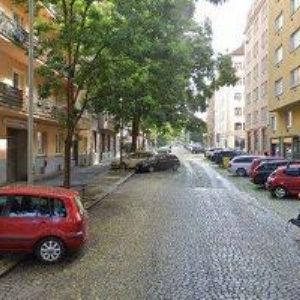 obrazek: avatar GOLD-REAL