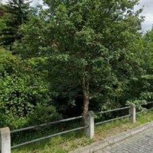 obrazek: avatar BVK s.r.o.