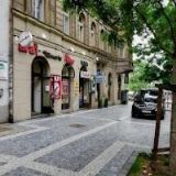 ANTAREX-PRAŽSKÝ LEV