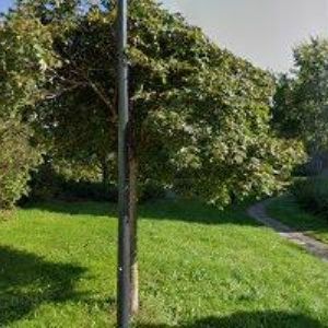 obrazek: avatar MAREŠ JIŘÍ Ing.-HODINOVÝ MANŽEL