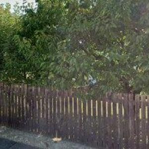 obrazek: avatar HOLÝ PETR