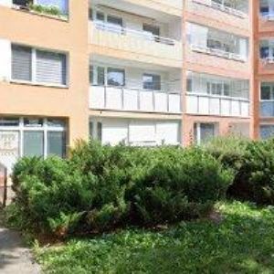 obrazek: avatar HOLUB TOMÁŠ-STŘECHY NA KLÍČ