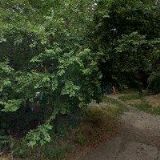 LUCIUS LUBOŠ-STŘECHY