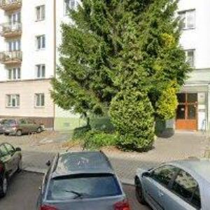 obrazek: avatar ALPIN SPECIAL s.r.o.