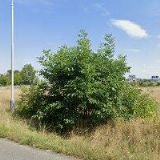 AVANTIS spol. s r.o.