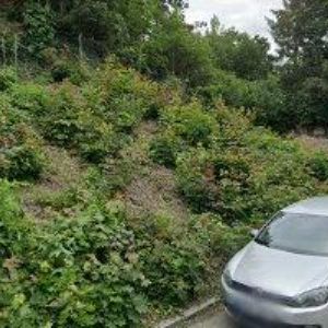 obrazek: avatar DVOŘAN IZOLMONT BZENEC s.r.o.