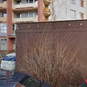 obrazek: avatar STŘECHY JM