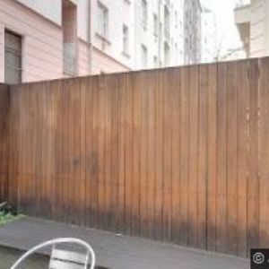 obrazek: avatar GINGER & FRED