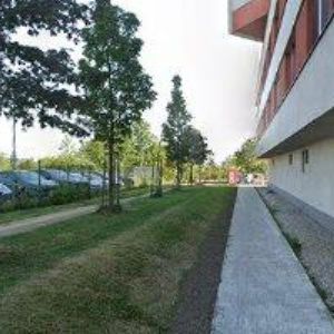 obrazek: avatar RESTAURACE GAO DEN