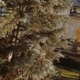 KAVÁRNA A RESTAURACE NA BAŠTĚ