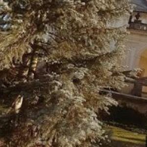 obrazek: avatar KAVÁRNA A RESTAURACE NA BAŠTĚ