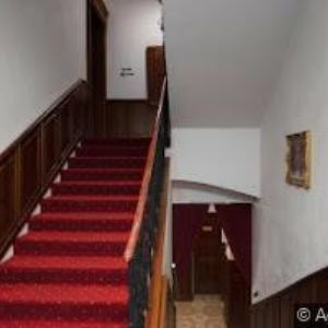 obrazek: avatar PENSION U LILIE