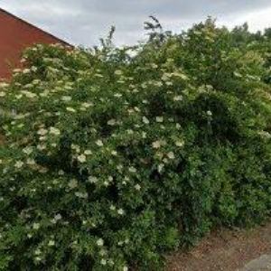 obrazek: avatar HASA HOTEL