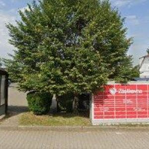 obrazek: avatar DI CARLO ŠEBEROV