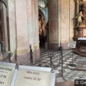 obrazek: avatar PROFESNÍ DŮM