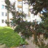 PIZZERIE LA PISA Praha