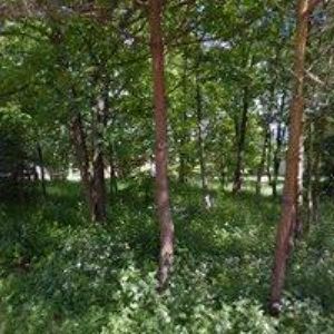 obrazek: avatar OPATRNÝ MILOŠ