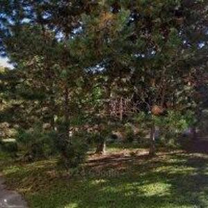 obrazek: avatar PLACHÝ DAVID