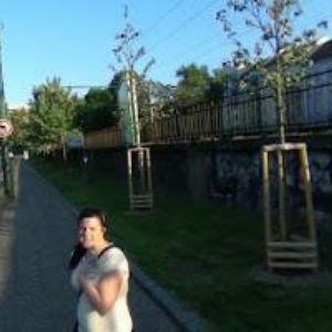 obrazek: avatar POTREFENÁ HUSA