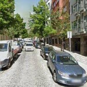 obrazek: avatar GIARDINO