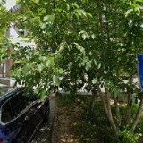 RESTAURANT CAFE ZÁTIŠÍ