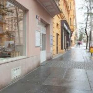 obrazek: avatar LASAGNERIA s.r.o.