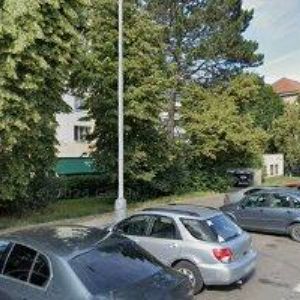 obrazek: avatar ČERVENÁ CIBULE