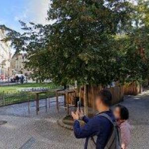 obrazek: avatar PIZZERIA-RISTORANTE SAN NICOLA